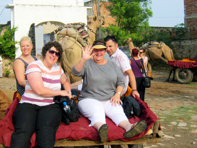 Camel Cart Rides In Surajgarh